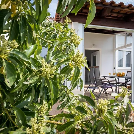 Avocado * 杜布罗夫尼克