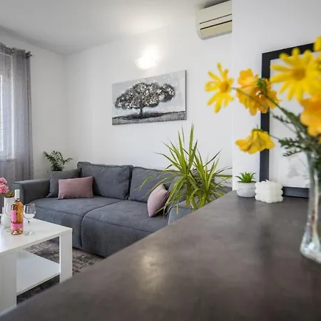 Avocado * 杜布罗夫尼克