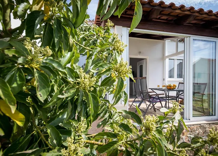 Avocado * Ντουμπρόβνικ