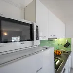 Avocado *